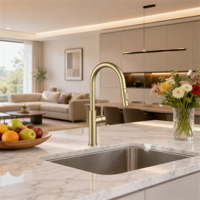ROBOHIGH Kitchen Faucet Side Spray