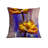 Throw Pillow With Insert-105617574-105618096