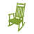 Lime tropicale