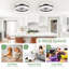 Ceiling Fan with Light Kit