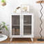Modern Living Room Cabinet Storage Organizer With 2 Glass Doors And Adjustable Shelf