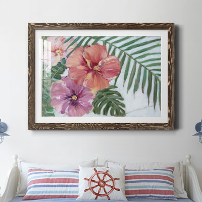 " Blooming Hibiscus "