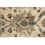 Raine Oriental Area Rug-27612788