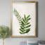 Botanical Wash II - reproduction d'art sur papier-2130414790-2130414793