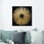 «Abstract Sunburst Golden Night», impression-66687861-119864311-51241194