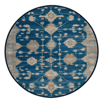 Machine Washable Overdyed Blue Area Rug