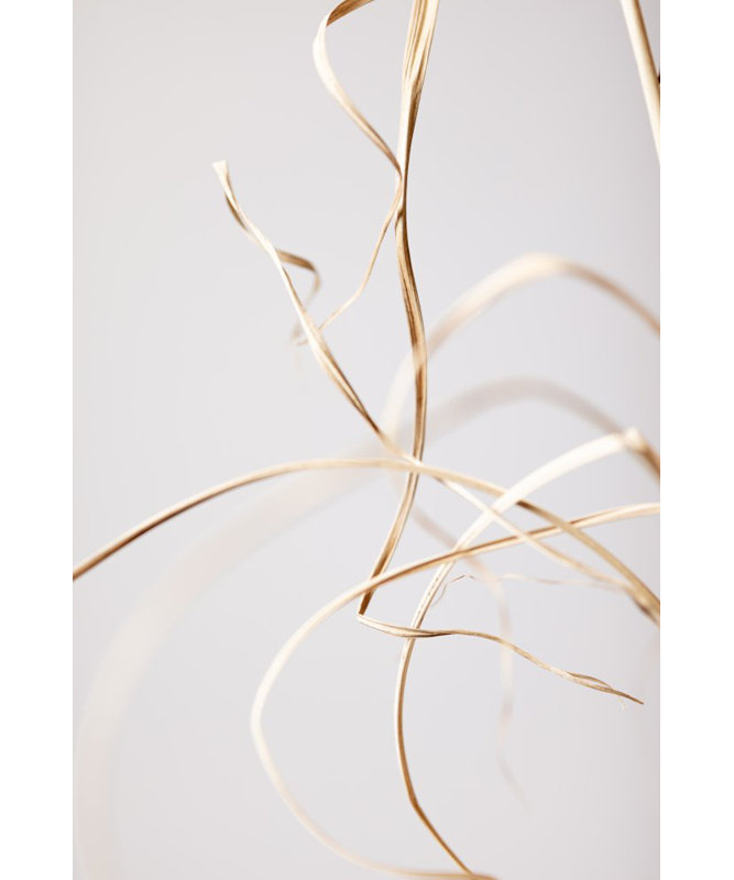Wrapped Canvas Print, 60.96cm H x 91.44cm W