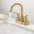 Centerset 2-handle Bathroom Faucet with Drain Assembly-100607419
