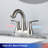 Centerset 2-handle Bathroom Faucet with Drain Assembly-92418532