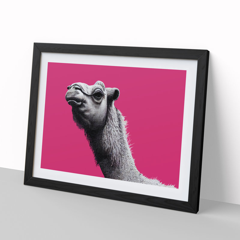 Legendary Camel - Single Picture Frame Print, Black Framed, 34cm H x 46cm W x 2cm D