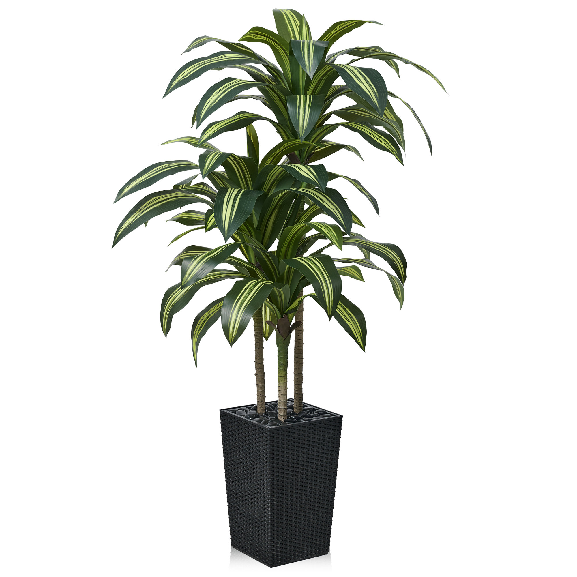 Almina UV Resistant Artificial Yellow Dracaena Tree, Faux Tree with Large Base for Indoor Outdoor, 60" H x 20" W x 20" D