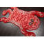 Tapis corail touffeté à la main 3 pi x 5 pi