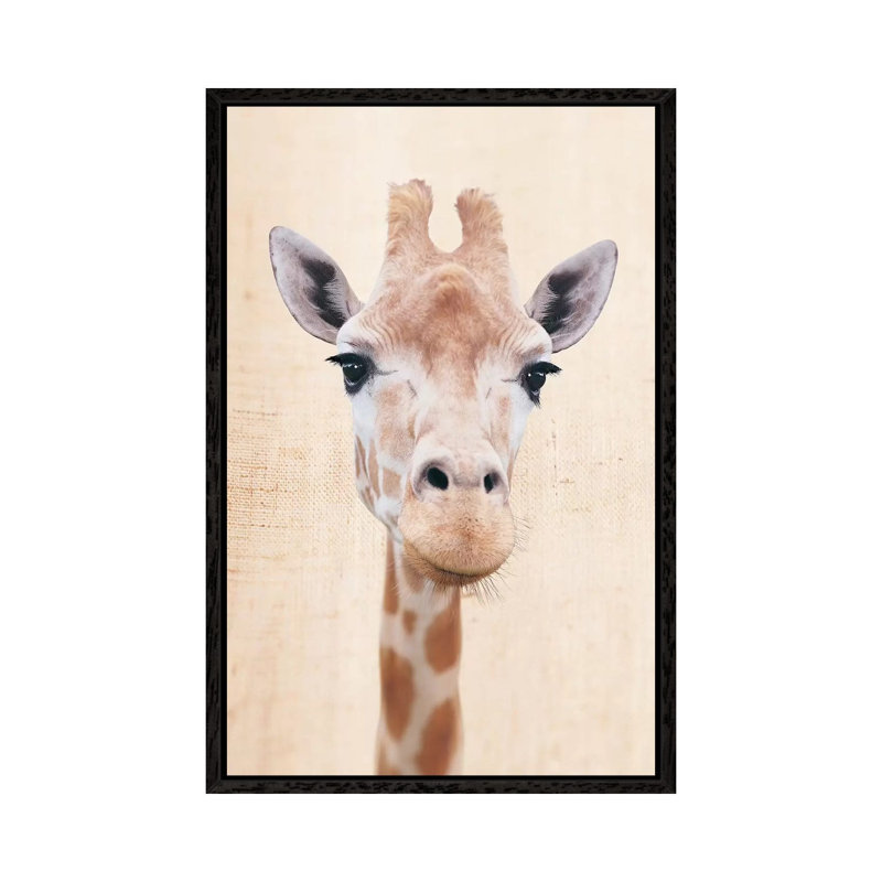 Manyara by Rachael Hale - Print on Canvas, Black Framed, 101.6 cm H x 66.04 cm W