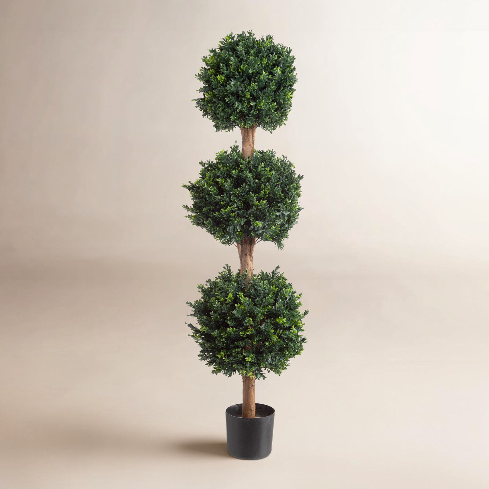 Brooklyn 60" Hedyotis Topiary in Planter