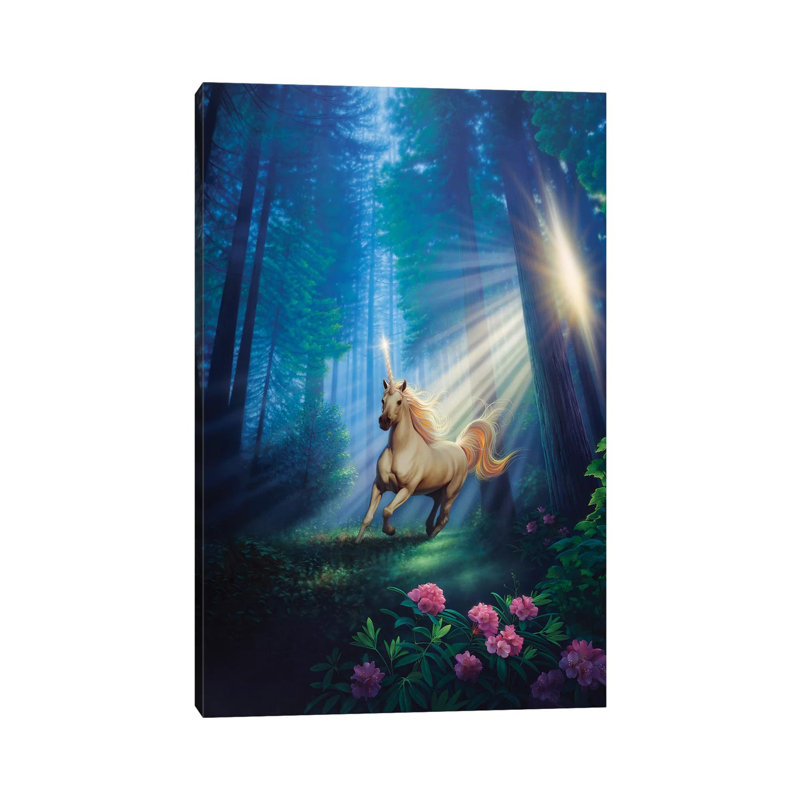 Secret Forest by Kirk Reinert - Wrapped Canvas Print, 20.32 cm H x 30.48 cm W