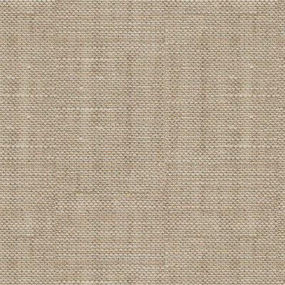 Basics Fabric