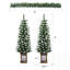 Ensemble de Noël 3 pièces avec 2 arbres d'entrée et lumières DEL