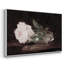 Botanique rétro - XXV III-63332093-63332083