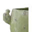 Cactus Vase Set Of 3