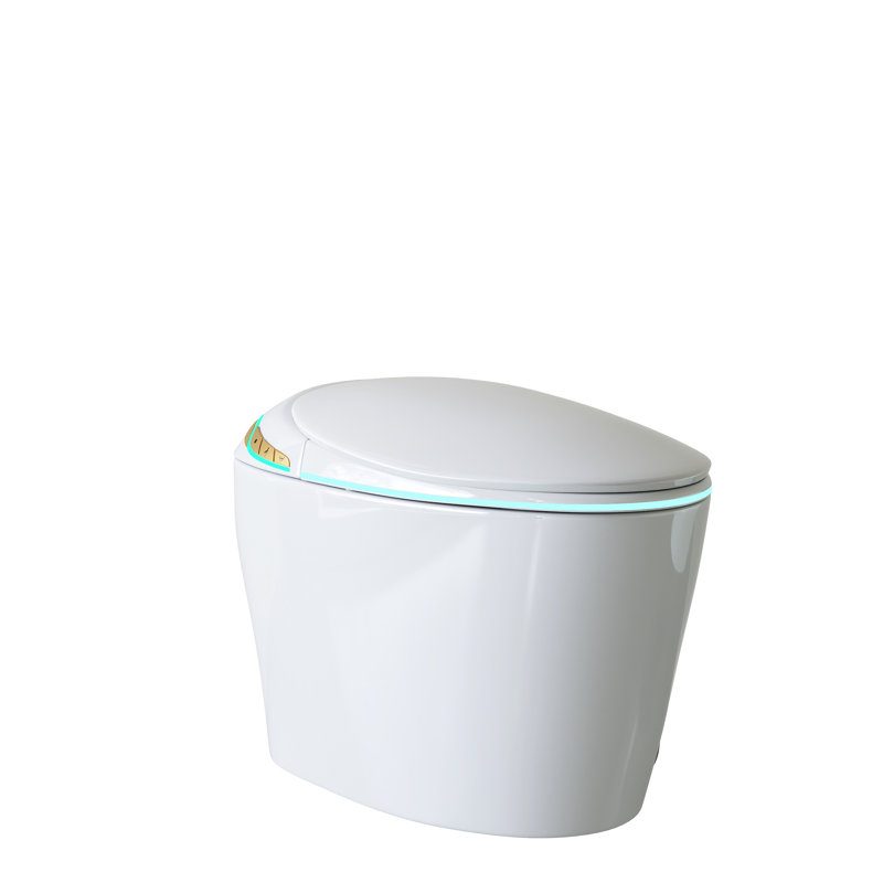 Toilette de bidet intelligente avec siège à ouverture / fermeture automatique, chasse d'eau à jet siphonique, eau chaude, sécheuse, nuit, modes de chasse multiples Couvercle de siège intelligent et automatique, système, alimentation en eau, modes, sans fil