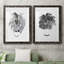 B&W d'intérieur plante I - ensemble de 2 reproductions de dessins-728781694-728781680