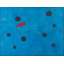 Bleu I-1007651150