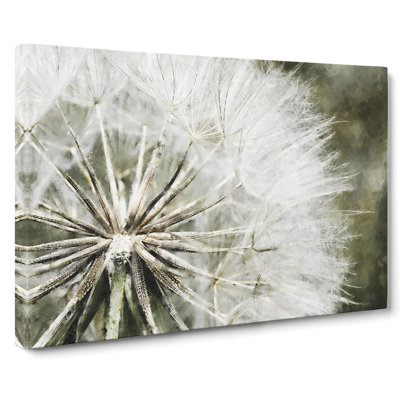 Dandelion Seeds Vol.4 - Wrapped Canvas Graphic Art