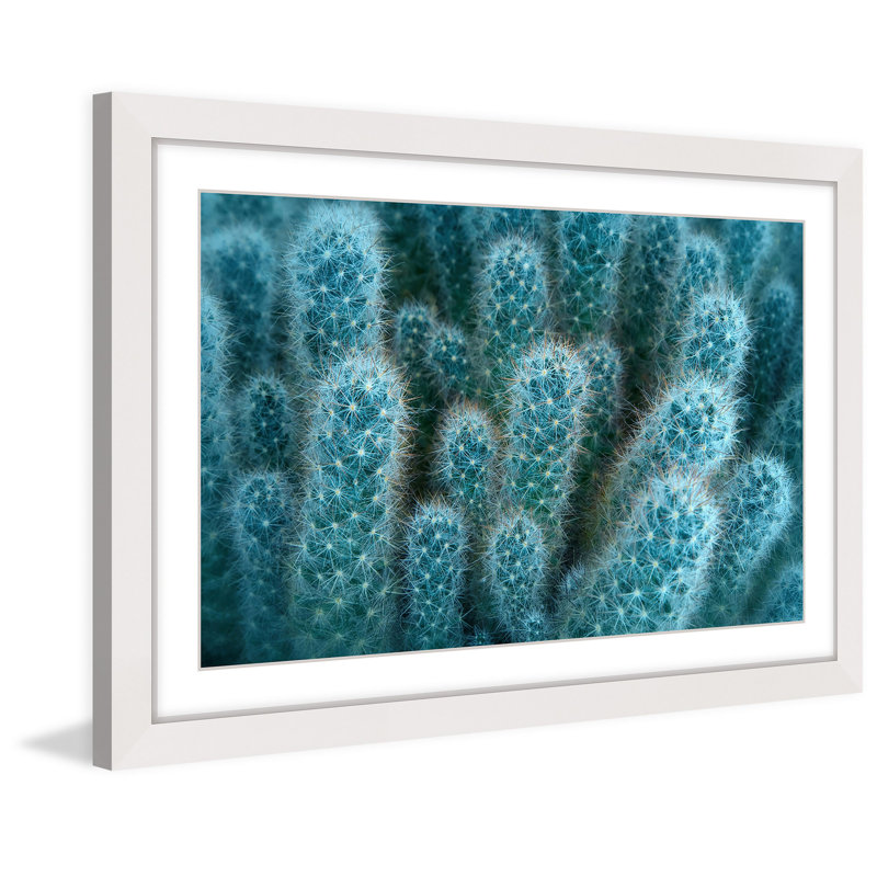 Single Picture Frame Print, 61cm H x 91cm W