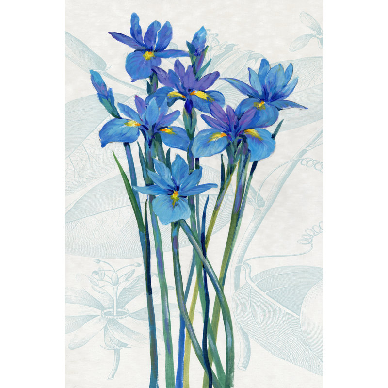 Iris bleu I, H 18 po x l 12 po