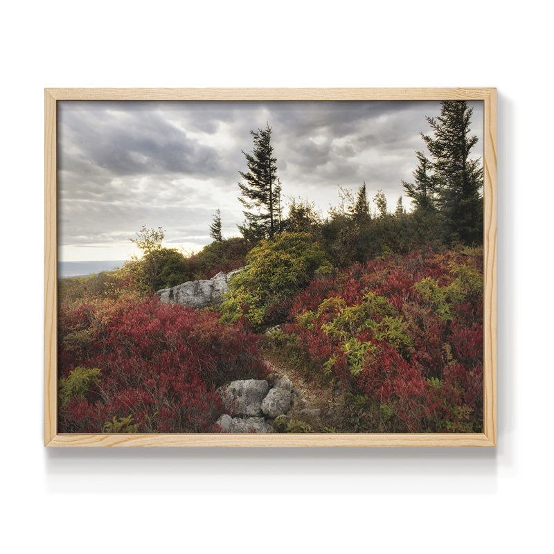 Highland Trail - reproduction encadrée - réversible, H 8 po x l 10 po, Naturel