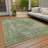 Machine Washable Indoor/Outdoor Claudian ACN1629 Aloe Rug-104302314