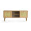 Shamong TV Stand
