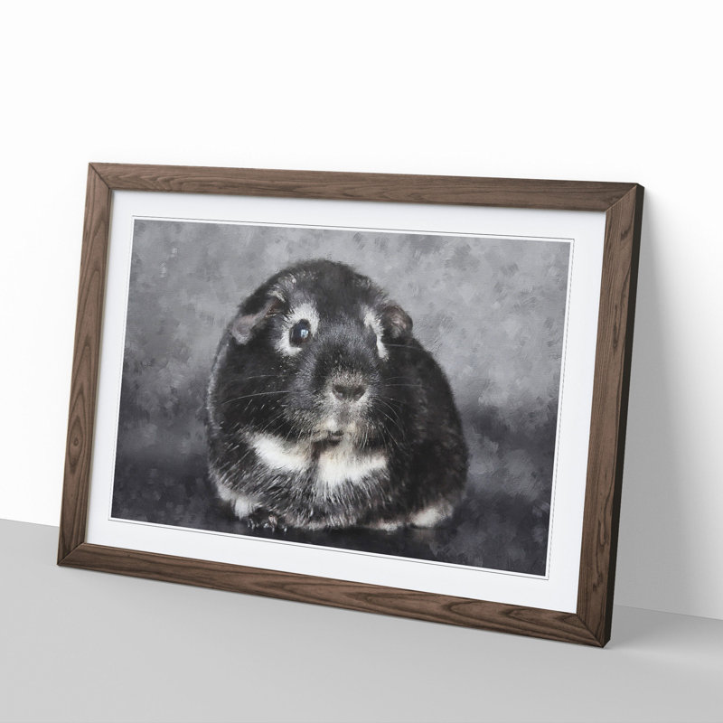 Guinea Pig - Picture Frame Graphic Art, Walnut Framed, 36cm H x 48cm W x 2cm D