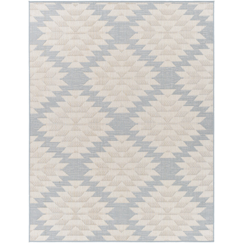 Hester Street Geometric Indoor / Outdoor Rug, Rectangle 6'7" x 9'