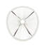 Chaise Anson, ensemble de 2 - Blanc
