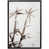 Black Framed selected