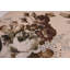 Coussin décoratif en velours rectangulaire Southwestern