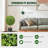 24" Artificial Boxwood Topiary in Pot-132569596