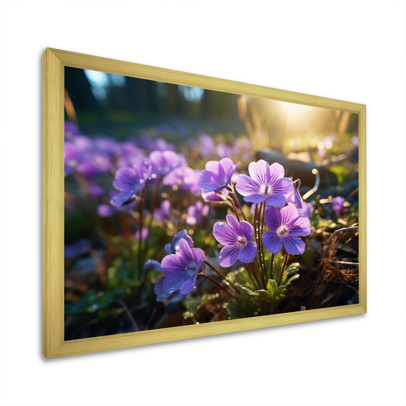 «Violets Field At Sunrise II», reproduction sur toile, Cadre doré à une seule photo, H 30 po x l 40 po x P 1,5 po