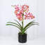 Polysilk Orchid Arrangement In Pot-2030385142-2030385143
