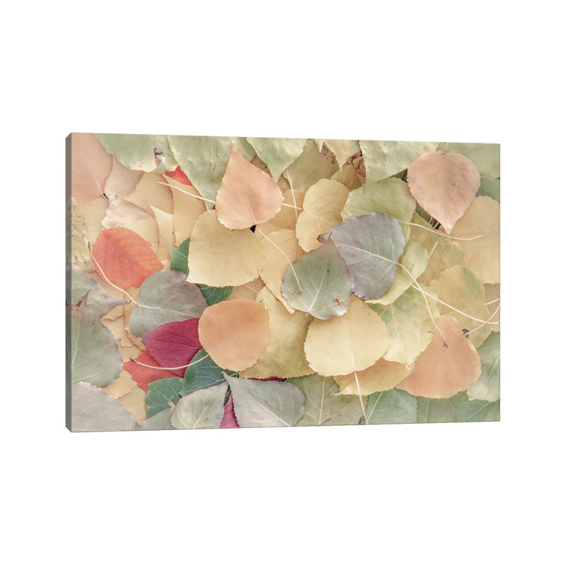 Fallen Leaves Creamy by Nik Rave - Wrapped Canvas Print, 20.32cm H x 30.48cm W x 1.91cm D