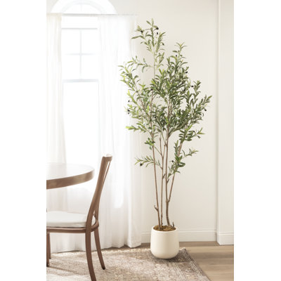 Oliveira Modern Faux Olive Tree with Nursery Pot and Bagged Moss