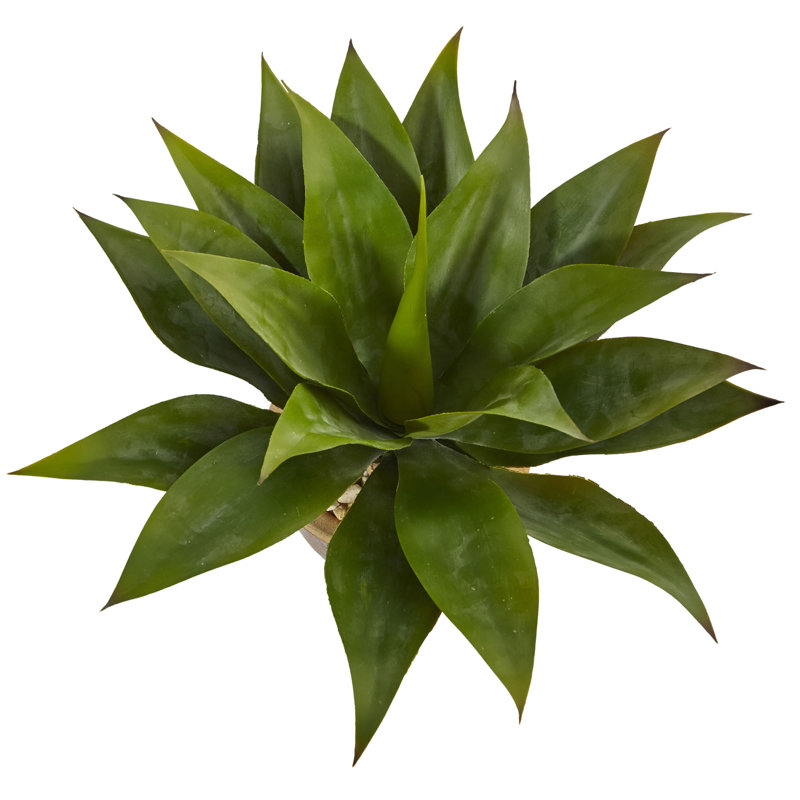 Plante agave artificielle 9" en pot