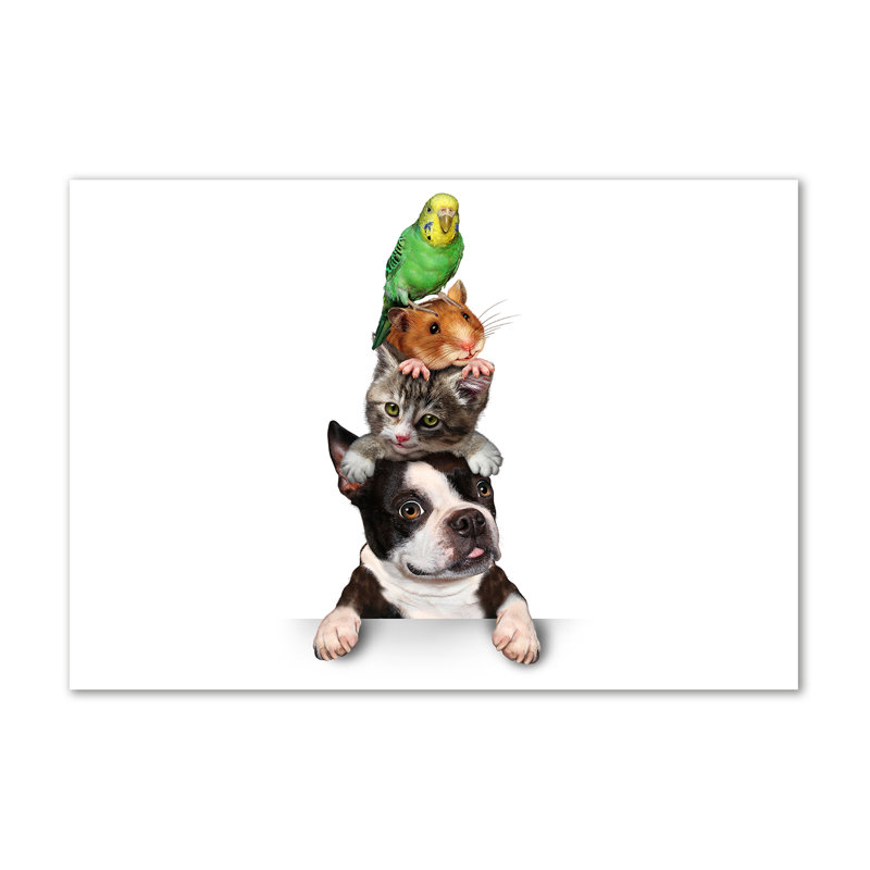 Group Of Animals - Wrapped Canvas Print