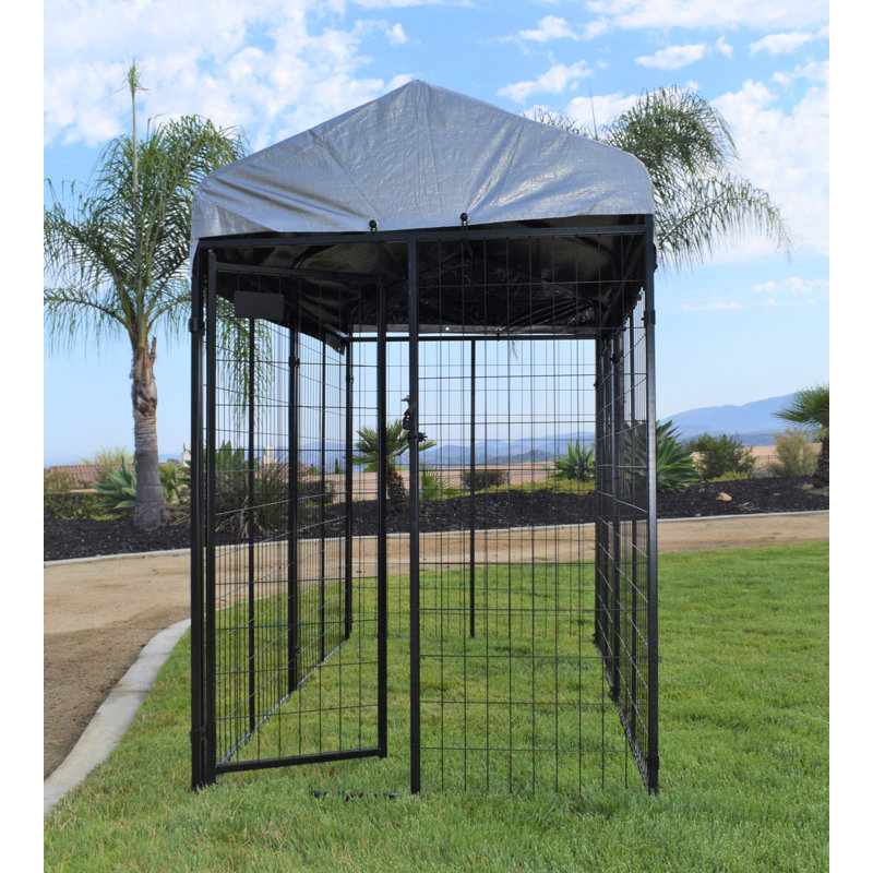 Tucson Black Powder Coat 6 ft. Welded Wire Dog Kennel