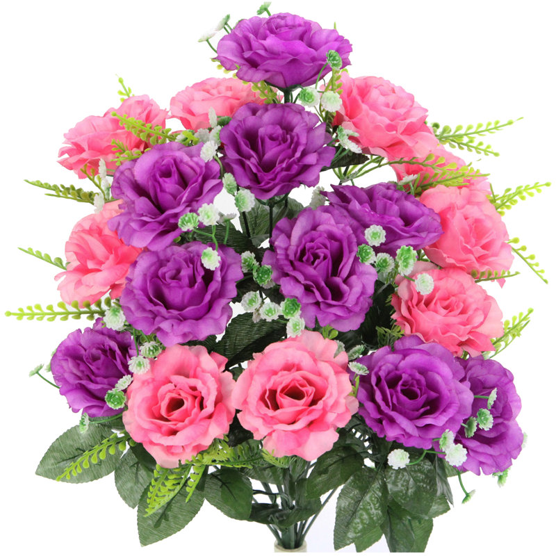 18 fleurs roses en pleine floraison, Violet / rose