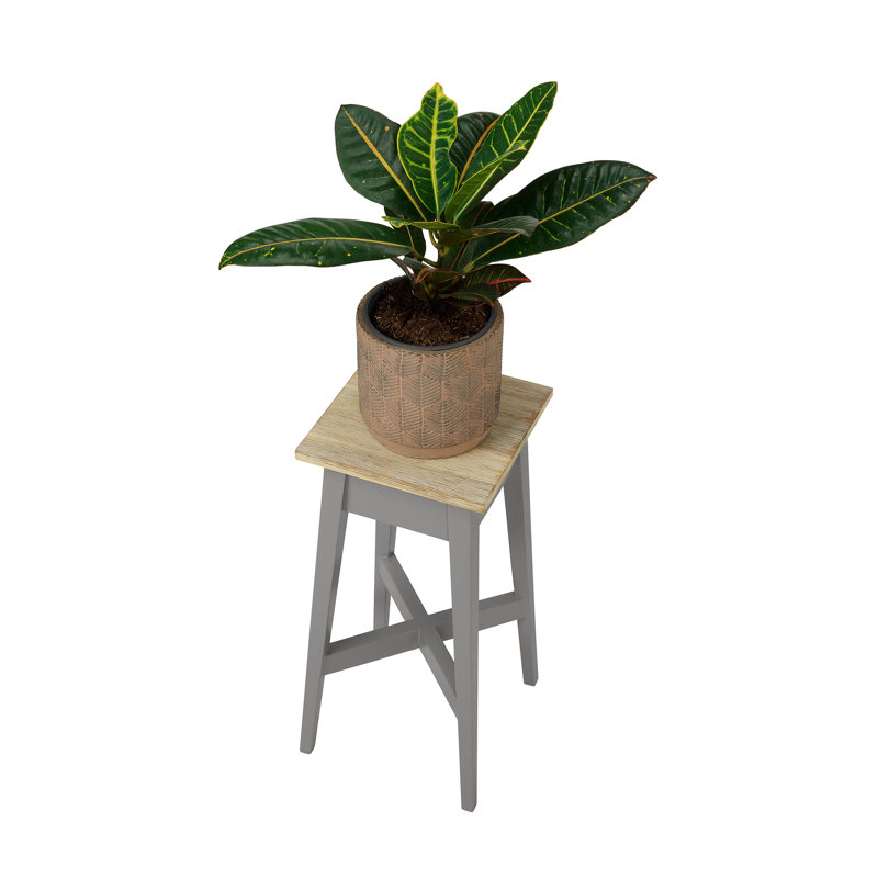 Decatur Plant Stand, Dove Grey, H50 x L24 x D24cm