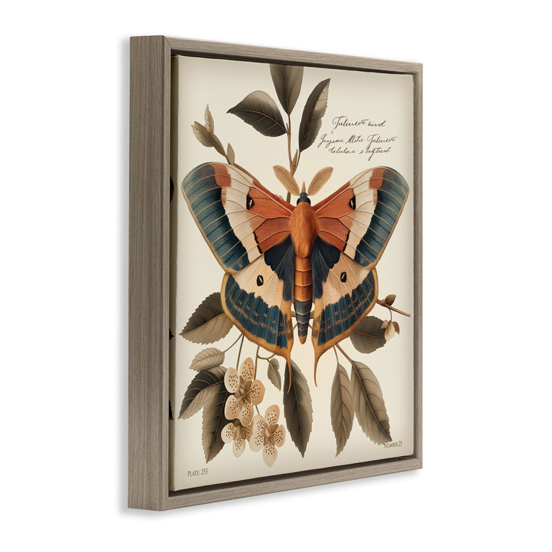 «Enchanting Moth & Plant», art mural encadré par Steve Huntziker, Cadre flottant orme Montalcino, H 18 po x l 18 po