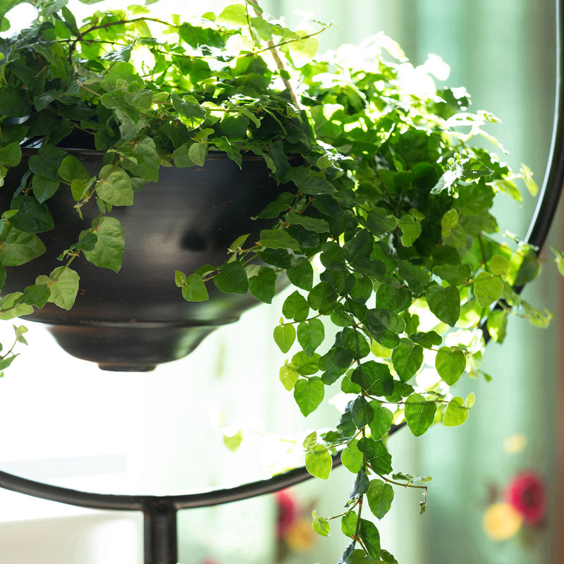 Plant Stand 1 Tier