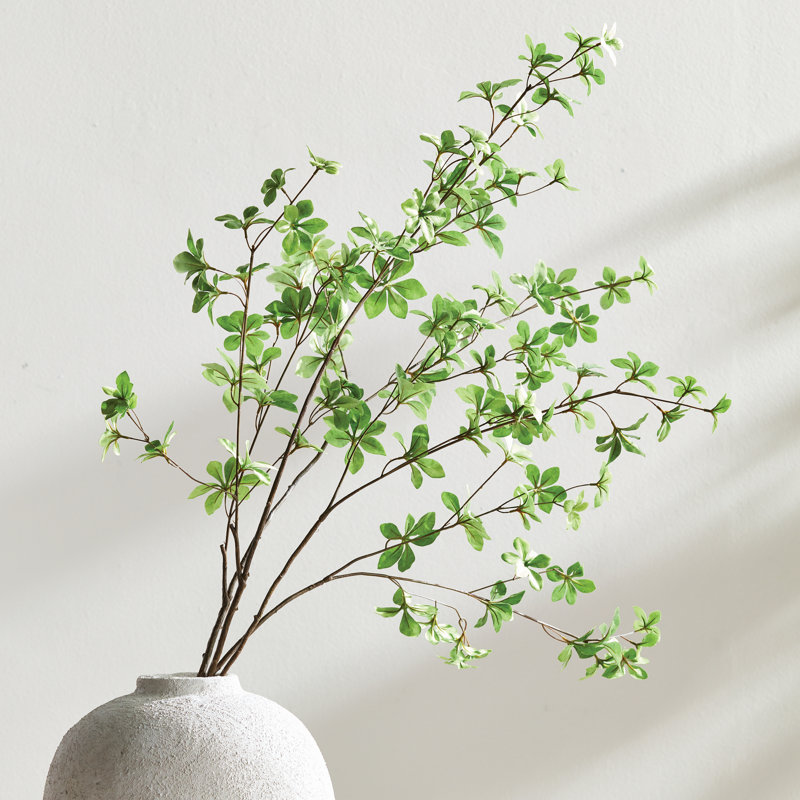 Iguann JAPANESE DODAN BRANCH 50 "